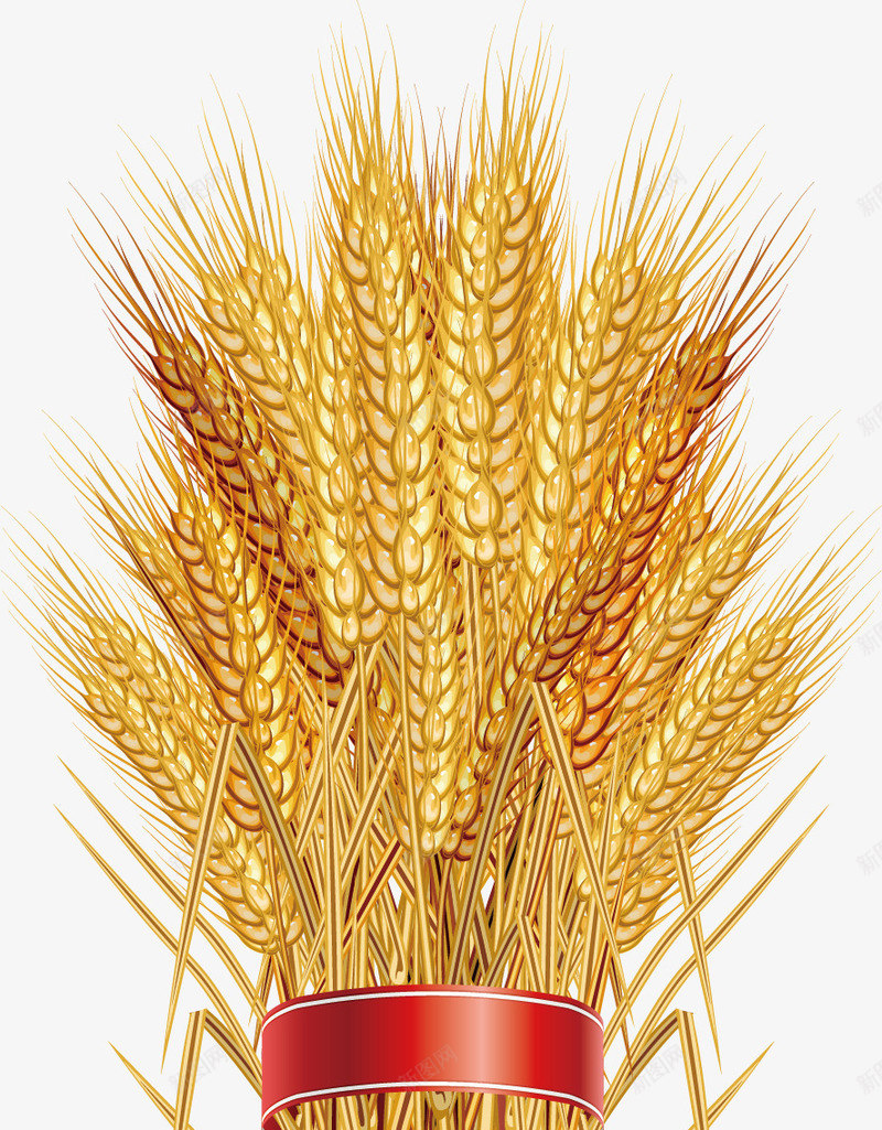 小麦促销标签矢量图ai免抠素材_新图网 https://ixintu.com 促销 小麦 成熟 标签 矢量图