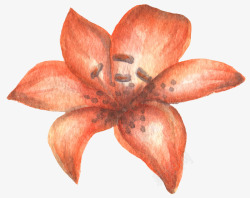 清新森系水彩橘红色花朵素材