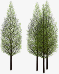 生态公园树木造型png免抠素材_新图网 https://ixintu.com 公园 树木 生态 造型