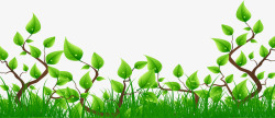 绿色清爽春天五一节日树叶素材