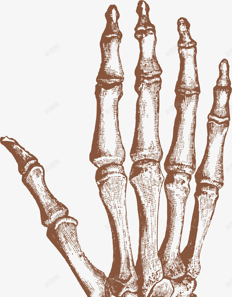 手掌手绘png免抠素材_新图网 https://ixintu.com 徒手绘制 手掌 手绘 线条绘制 钢笔手绘 钢笔画画