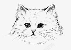 素描猫咪猫咪素描高清图片