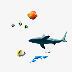海洋动物鱼素材