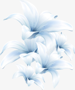 手绘蓝色清新百合花朵素材