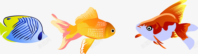 三种热带鱼png免抠素材_新图网 https://ixintu.com 卡通 热带鱼 美丽