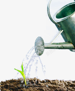 浇灌植物水壶浇灌植物高清图片