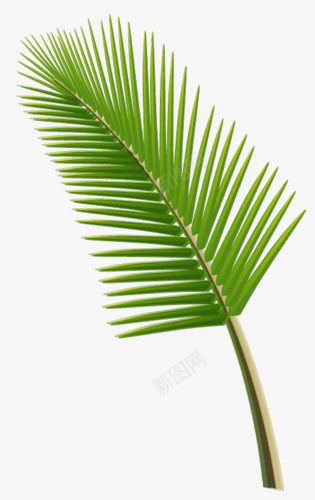 手绘芭蕉叶png免抠素材_新图网 https://ixintu.com 手绘 植物 绿色 芭蕉