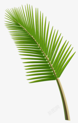 手绘芭蕉叶素材