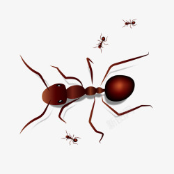 红蚂蚁卡通红蚂蚁矢量图高清图片