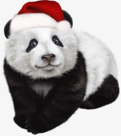 手绘圣诞帽的大熊猫素材