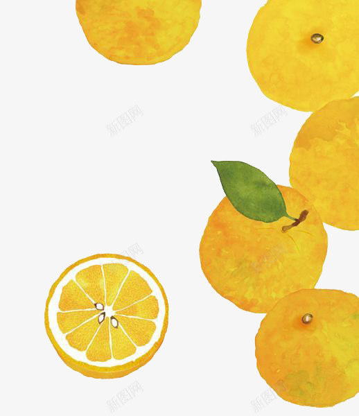 卡通橘子png免抠素材_新图网 https://ixintu.com 卡通 彩色 手绘 橘子 橙子 水彩 水果 装饰 黄色