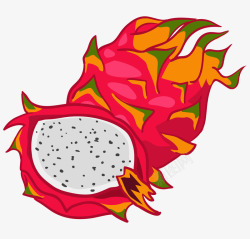 白心火龙果手绘插画卡通手绘水果装饰海报高清图片