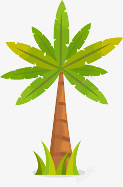 粉红棕榈叶卡通热带植物棕榈树图高清图片