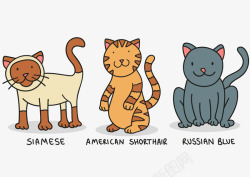 手绘可爱猫咪动物矢量图素材