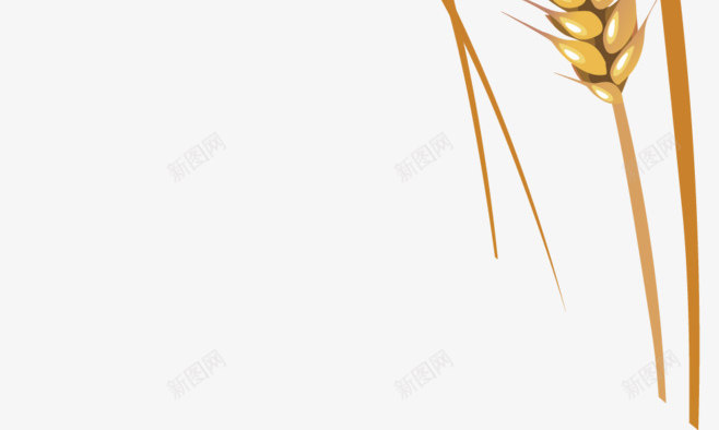 小麦手绘装饰元素png免抠素材_新图网 https://ixintu.com 元素 小麦 手绘 渐变 装饰