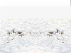 摄影白色的雪地素材