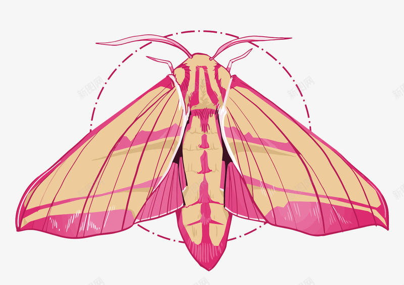 粉色昆虫飞蛾png免抠素材_新图网 https://ixintu.com 卡通 手绘 矢量飞蛾 粉色 飞蛾PNG矢量图 飞蛾免扣PNG图