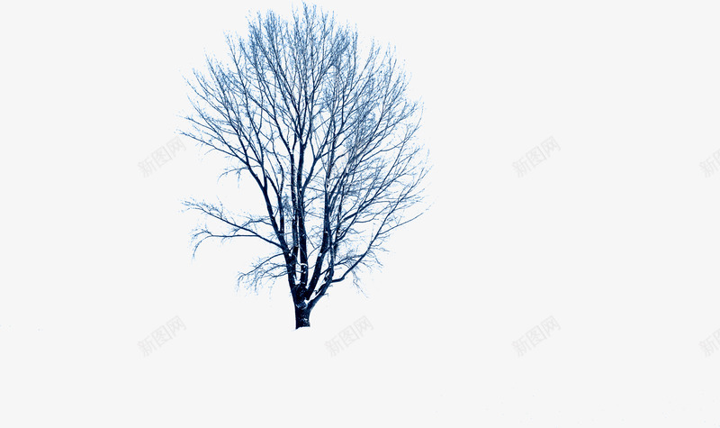 蓝色环境渲染效果树木造型png免抠素材_新图网 https://ixintu.com 效果 树木 渲染 环境 蓝色 造型