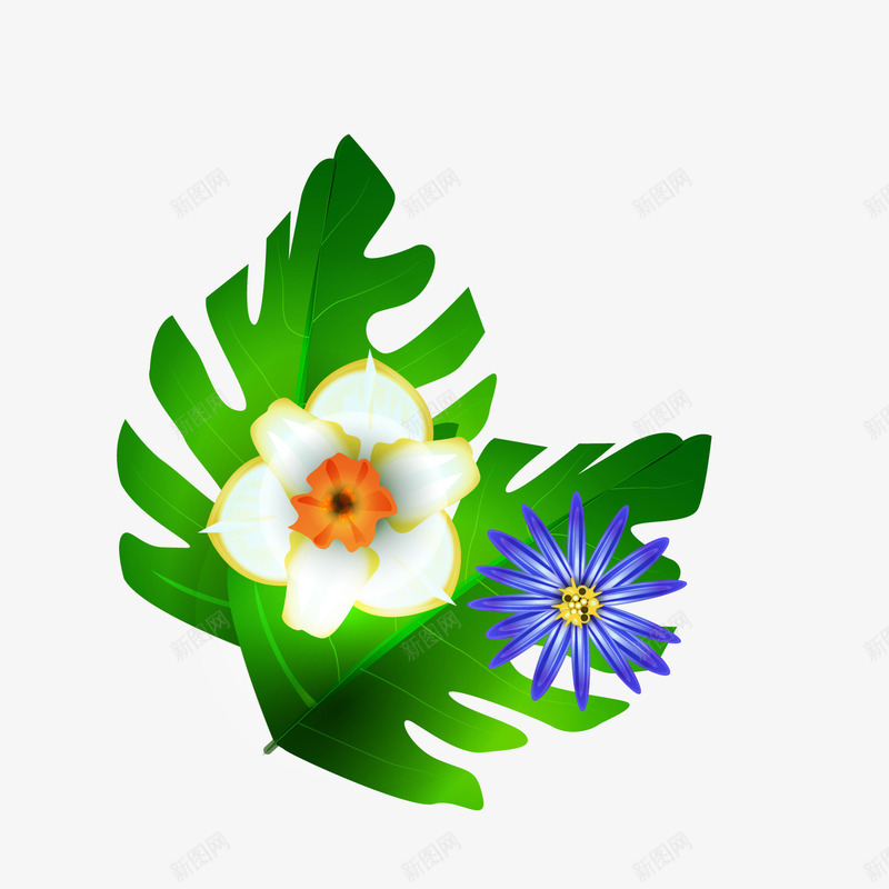 热带植物花卉矢量图ai免抠素材_新图网 https://ixintu.com 卡通植物 白色花朵 绿色叶子 背景装饰 矢量图