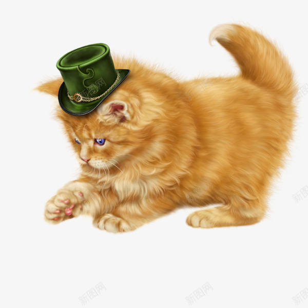 可爱的猫咪png免抠素材_新图网 https://ixintu.com 可爱 帽子 橘色 猫咪