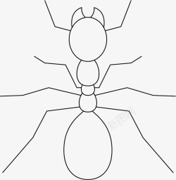 黑蚂蚁蚂蚁线条矢量图高清图片