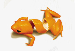 创意橘子青蛙素材