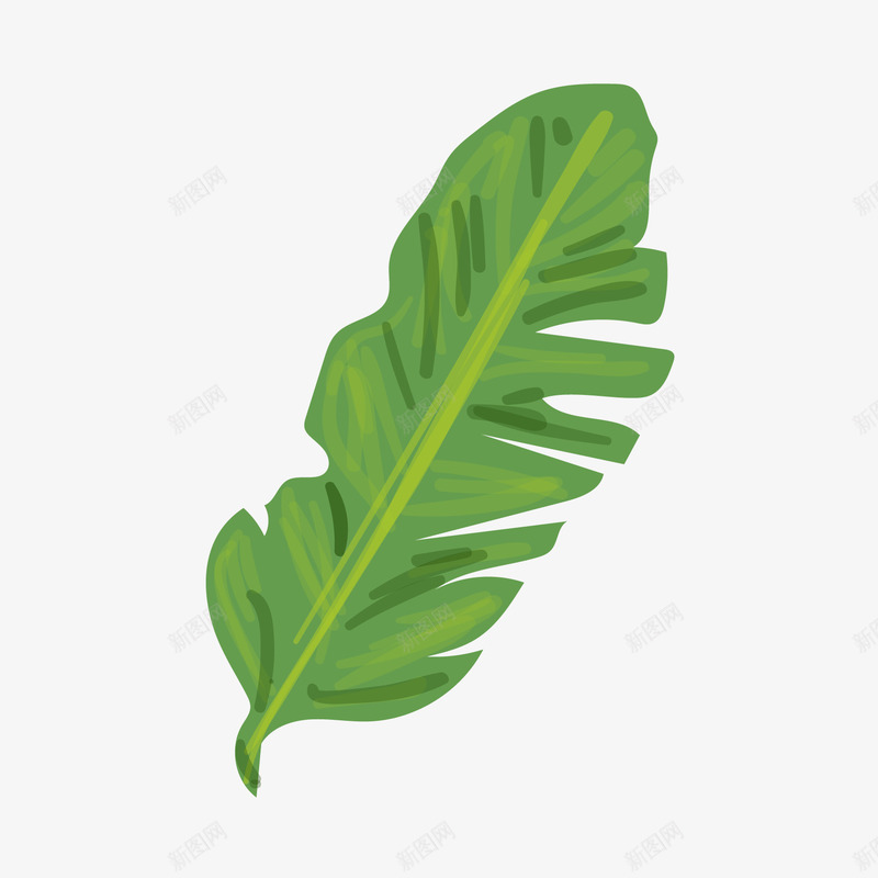 绿色植物装饰元素png免抠素材_新图网 https://ixintu.com 手绘植物 绿色植物 芭蕉叶 芭蕉树