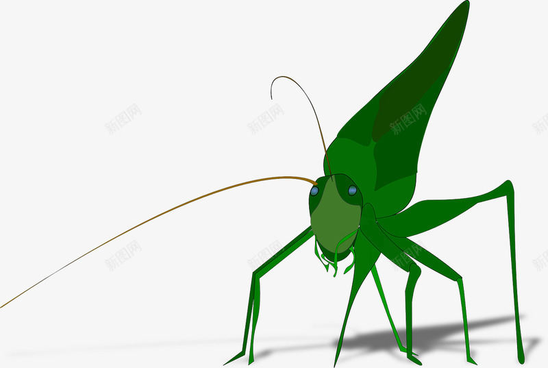绿色的蟋蟀png免抠素材_新图网 https://ixintu.com 昆虫 绿色 蟋蟀 跳跃
