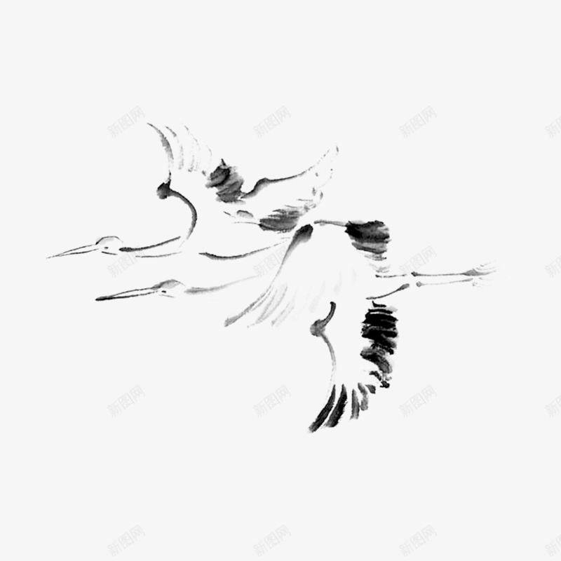 水墨仙鹤png免抠素材_新图网 https://ixintu.com 传统 保护动物 动物 水墨 禽类 绘画 起飞 飞舞