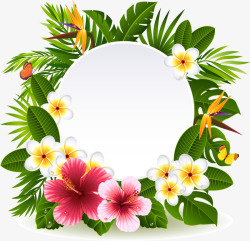热带花卉装饰标签素材