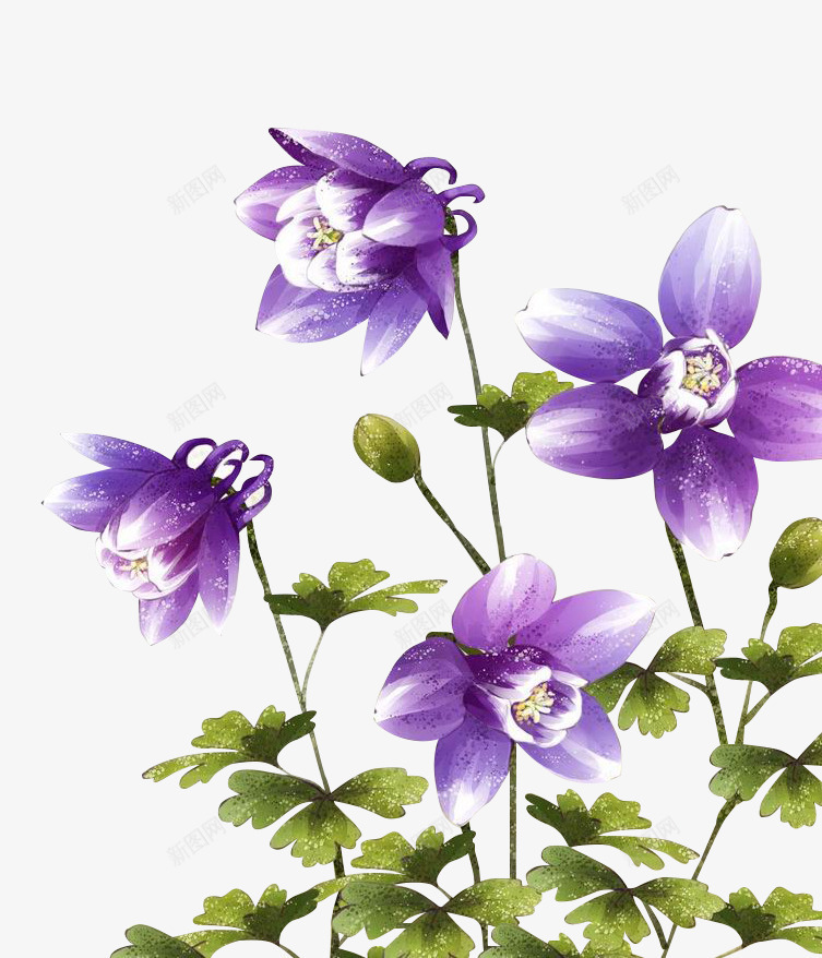紫色花卉壁纸壁画png免抠素材_新图网 https://ixintu.com 壁画 壁纸 紫色 花卉