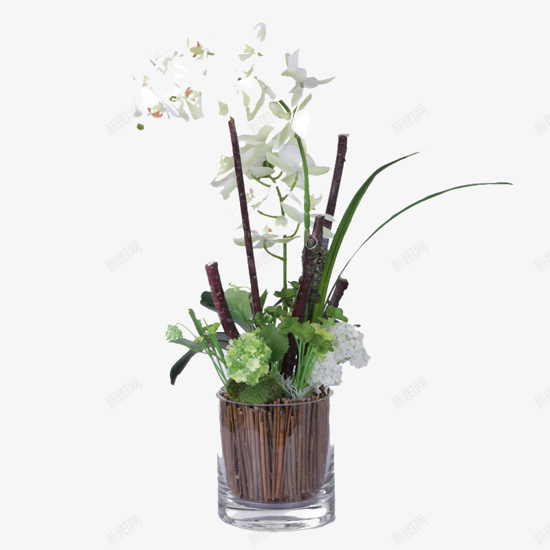 家访百合png免抠素材_新图网 https://ixintu.com 图片 植物 百合 素材 绿色 花卉 花朵 花束