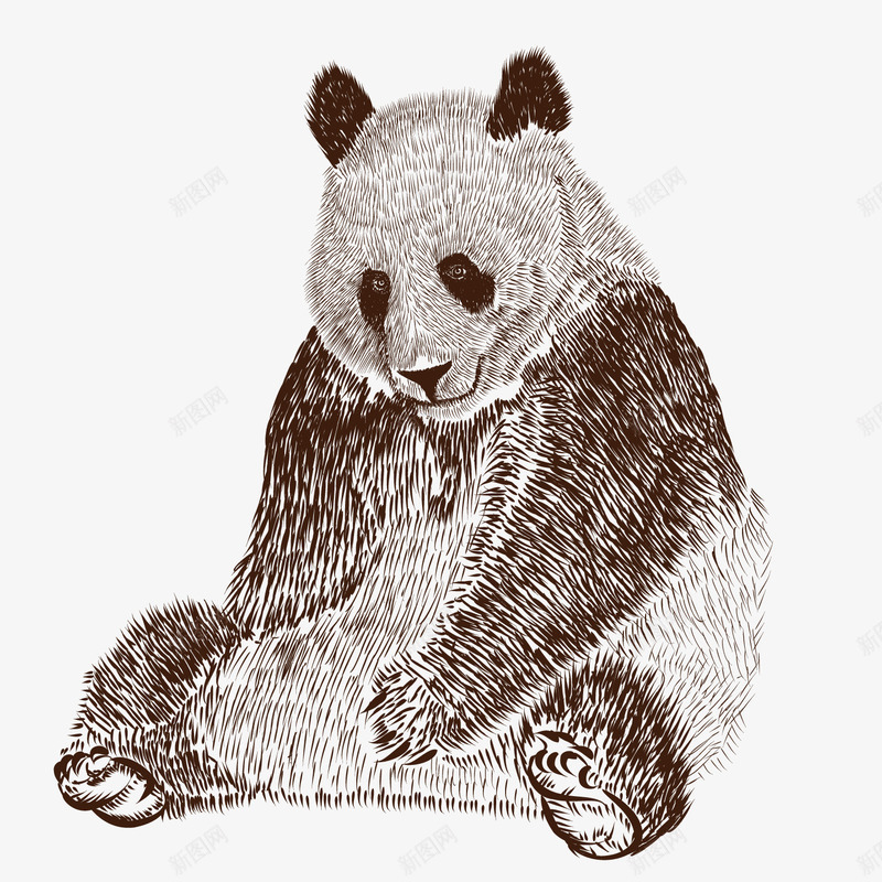 坐着的大熊猫素描图png免抠素材_新图网 https://ixintu.com 可爱的 国家保护动物 坐着 大熊猫 素描 黑白色