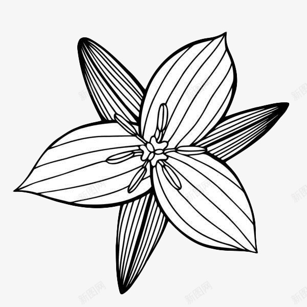 黑色简约手绘花卉图标png_新图网 https://ixintu.com 植物 简约手绘 线描花矢量图 线条手绘 花卉 黑色线条