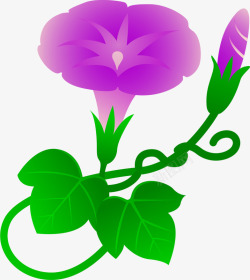 精美紫色喇叭花树叶装饰素材