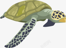 立体海龟大海立体游动海龟高清图片