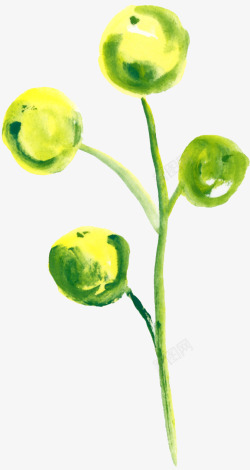 绿色球形植物花朵素材