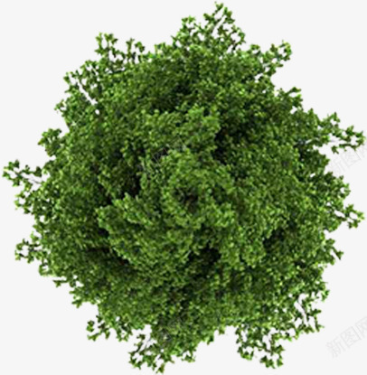 绿色树木植物壁画png免抠素材_新图网 https://ixintu.com 壁画 树木 植物 绿色