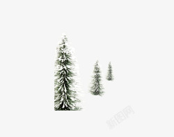 三棵雪地里的松树素材