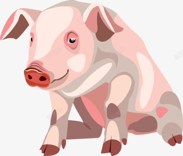 卡通手绘小猪图案png免抠素材_新图网 https://ixintu.com 小猪 小猪图案 手绘小猪 粉色小猪