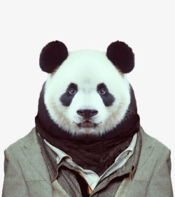 熊猫先生素材