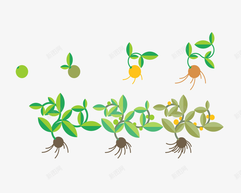 卡通种子发芽成长之路png免抠素材_新图网 https://ixintu.com 成长之路 植物 生根发芽 种子 简约图 绿色 透明 长大