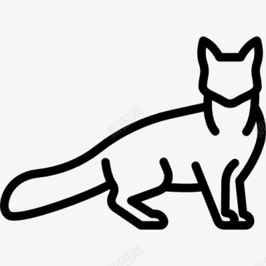 土耳其安哥拉猫图标图标