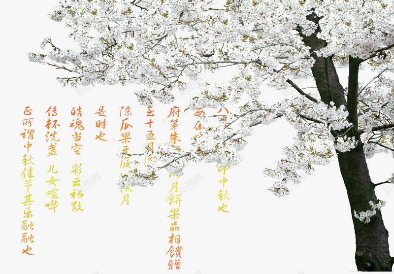 一颗桃花树png免抠素材_新图网 https://ixintu.com 中国风 文案 桃花树 白色 诗篇