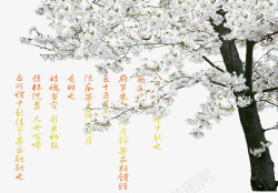 诗篇一颗桃花树高清图片