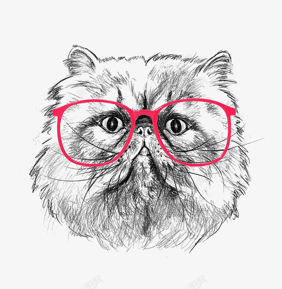 手绘波斯猫png免抠素材_新图网 https://ixintu.com 卡通猫咪 波斯猫插画 猫咪茶壶 素描 胖猫咪