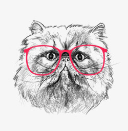 波斯猫插画手绘波斯猫高清图片
