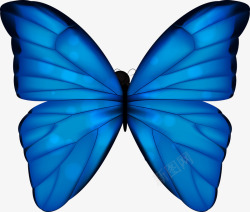 蓝色彩蝶蓝色蝴蝶矢量图高清图片