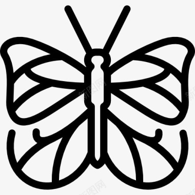 常见的虎蝶图标图标