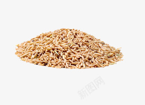 农产品小麦png免抠素材_新图网 https://ixintu.com 农产品 卡通 小麦 面粉